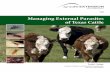 Managing External Parasites of Texas Cattle · lose weight. Parasites also lower the quality of animal products by: ... The best way to prevent initial infestations is to check and