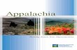 Appalachia: Turning Assets Into Opportunities (PDF: 6 MB) · 2012-08-03 · Turning liabilities into revenue generators or developing untapped natural and cultural resources into