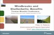 Windbreaks and Shelterbelts: Benefits - Harvest Hastings€¦ · Establishment and monitoring (every tree counts) Maintenance – Pest and weed control (mowing) Many CA’s have Tree