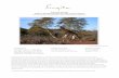 WILDLIFE REPORT SINGITA KRUGER NATIONAL PARK, SOUTH …€¦ · WILDLIFE REPORT SINGITA KRUGER NATIONAL PARK, SOUTH AFRICA For the month of September, Two Thousand and Eighteen ...