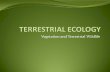 Vegetation and Terrestrial Wildlife...Terrestrial Ecology: Vegetation Plant Community Descriptions: Classification scheme for ODOT projects incorporates ...