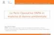 La Rete Operativa SNPA in materia di danno ambientale · 2. Il processo di valutazione del danno ambientale in un Sistema a Rete (il contesto normativo, l’attivazione, lo sviluppo,