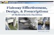 Fishway Effectiveness, Design, & Prescriptions · Design Phase Construction Phase Operation Phase •Barrier assessment, fishway needs •Study plan development, review •Fishway