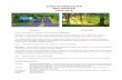 CLASS 7N NEWSLETTER MRS NORMAN APRIL 2018CLASS 7N NEWSLETTER MRS NORMAN APRIL 2018 JOURNEYS WOODLAND In the summer term, our topics are Journeys and Woodland Journeys – In the first