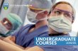 UCD School of Medicine€¦ · studies, patient educator sessions, simulations and clinical- ... who are life-long learners and world-class medical researchers. INTERNATIONAL DIVERSITY
