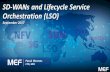 SD-WANs and Lifecycle Service 25 min Orchestration (LSO) · 2017-10-06 · SD-WANs and Lifecycle Service Orchestration (LSO) September 2017 25 min. ... Enterprise Branch SD-WAN Provider