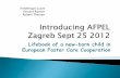 Lifebook of a new-born child in European Foster Care ... · recruitment, training and support of foster carers The APFEL Questionnaire : mapping innovative practices in Europe The