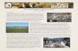 MULE DEER SHED ANTLER HUNTING Fact Sheet #16 · MULE DEER SHED ANTLER HUNTING Fact Sheet #16 OVERVIEW Shed antler hunting has become an increasingly popular activity as a form of