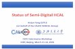 Status of Semi-Digital HCAL · Status of Semi-Digital HCAL Haijun Yang (SJTU) ... Electronics readout for the final detector Only 1 DIF per GRPC (any size) with small dimensions to