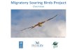 Migratory Soaring Birds Project...Eurasian Crane - Flickr - Sergey Yeliseev Project’s Objective To make the Rift Valley / Red Sea flyway a safer route for migratory soaring birds