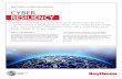 RAYTHEON CYBER INNOVATION CYBER RESILIENCY · resilience of systems and software, test the effectiveness of cyber-defensive and cyber-offensive capabilities and train the next generation