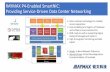 RAYMAX P4-Enabled SmartNIC: Providing Service-Driven Data ... · RAYMAX P4-Enabled SmartNIC: Providing Service-Driven Data Center Networking ... pen Network Operating System OSS/BSS