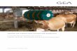 Healthy and relaxed cows increase milk production · 2020-05-08 · Healthy and relaxed cows increase milk production 4 cow brushes for optimal cow comfort: E-Brush, ... cow is happy,