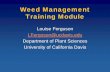 Weed Management Training Module - Afghan Agriculture · Weed Management Training Module QUIZ . What is a Weed?? Pest that Decreases Yields . Weed Classification Name Three Classification