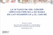 LA SITUACION DEL CÁNCER CERVICOUTERINO y DE ......NCER: El ejemplo de Colombia Source: Parkin et al. Vaccine 2008 mortalidad de cáncer cervicouterino mortalidad de cancer de mama