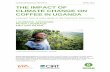 OXFAM RESEARCH REPORTS APRIL 2013 THE …...The Impact of Climate Change on Coffee in Uganda 5 Broadly, for coffee, if temperatures increase, areas suitable for coffee will be higher