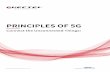 PRINCIPLES OF 5G - Atlantik Elektronik GmbH · Figure-4 5G Standards release milestones (Source: 3GPP) The race is over now as starting 2019 a dozen 5G mobile networks as well as