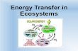 Energy Transfer in Ecosystems - SD41blogs.ca · 2018-01-22 · Energy Transfer in Ecosystems. ... •The sun begins the process of energy transfer within the ecosystem. Solar energy