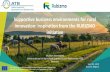 Supportive business environments for rural innovation ... · Supportive business environments for rural innovation: inspiration from the RUBIZMO initiative Muluken Adamseged Leibniz