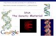 DNA The Genetic Material - The Bronx High School of Science · AP Biology Semiconservative replication Meselson & Stahl label “parent” nucleotides in DNA strands with heavy nitrogen