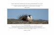 SAGE-GROUSE CONSERVATION AND MANAGEMENT IN …...National Sage-grouse Habitat Conservation Strategy (BLM 2004), and the U.S. Fish and Wildlife Service (USFWS) Greater Sage-grouse Conservation