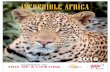 INCREDIBLE AFRICA - · PDF file a late afternoon game drive with excellent photo opportunities of Africa’s most amazing animals and scenery. Accommodation: Kapama River Lodge –