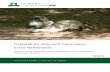 Potential for Grey wolf Canis lupus - WURcontent.alterra.wur.nl/Webdocs/PDFFiles/Alterrarapporten/Alterra... · Potential for Grey wolf Canis lupus in the Netherlands Effects of habitat