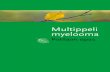 Multippeli myelooma · 3 LukijaLLe Sinulle on juuri kerrottu, että sairastat multippeli myeloomaa. Mielessäsi risteilee satoja kysymyksiä sairaudesta, hoidosta, tulevaisuudesta