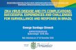 SUCCESSFUL EXPERIENCES AND CHALLENGES FOR … · 2016-12-30 · ZIKA VIRUS DISEASE AND ITS COMPLICATIONS SUCCESSFUL EXPERIENCES AND CHALLENGES FOR SURVEILLANCE AND RESPONSE IN BRAZIL