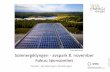 Foto: Multiconsult Solenergiklyngen - avspark 8. november ...solenergiklyngen.no/app/uploads/sites/4/alle... · • Strategi for internasjonalisering • Internasjonal Hub • Samarbeid