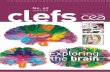 Exploring the brain - CEA/CEA · 2016-04-19 · Exploring the brain 2 CLEFS CEA - No. 62 - AUTUMN 2014 central sulcus parietal cortex occipital cortex cerebellum visual areas spinal
