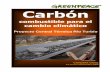 Proyecto Central Térmica Río Turbio - Los Verdes · Greenpeace Carbón: combustible para el Cambio Climático 4 Inicios de Río Turbio 1 En el extremo suroeste de la Provincia de