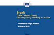 Brexit...Brexit Trade Contact Group Special plenary meeting on Brexit Preferential origin aspects 8 March 2019 Two possible scenarios: 1. No deal scenario 2. The withdrawal Agreement