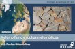Metamorfismo e rochas metamórficas - José Carlos Morais · Caracterização de Rochas Metamórficas 14.2. Rochas Metamórficas ARDÓSIA Rocha metamórfica síltico-argilosa formada