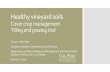 Healthy vineyard soils · Healthy vineyard soils Cover crop management Tilling and grazing trial Jenna J. Merrilees ... Understanding the influence of management on GHGs will inform