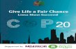 GIVE LIFE A FAIR CHANCE - PAIRVI Delhi Publication.pdf · 2018-04-04 · Give Life a Fair Chance Lima Must Succeed November, 2014 New Delhi, India Authors: Ajay Jha, Adusumalli Malathi,