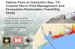 Sabine Pass to Galveston Bay, TX, Coastal Storm Risk ... TSP Public Meeting Presentation...1900 Galveston Storm • 6000 deaths/$20 million in losses ... \爀屲The purpose of the