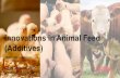 Innovations in Animal Feed (Additives)Innovations in Animal Feed (Additives) A combination of feed additives and feeding more precisely can reduce the need of antibiotics drastically