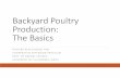 Backyard Poultry Production: The Basics · Backyard Poultry Production: The Basics RICHARD BLATCHFORD, PHD COOPERATIVE EXTENSION SPECIALIST DEPT. OF ANIMAL SCIENCE UNIVERSITY OF CALIFORNIA,