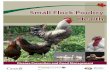 Small Flock Poultry Health - British Columbia · The Small Flock Poultry Health manual has been funded by Growing Forward, a federal, provincial, territorial initiative. ... and management,