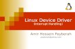 Linux Device Driver - Amir H. Payberah...The driver must preserve the returned bit mask and pass it to pr obe_irq_off later. int probe_irq_off(unsigned long); After the device has