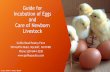 Guide for Incubation of Eggs and Care of Newborn Livestock - Goffle Road Poultry … · 2019-07-12 · Guide for Incubation of Eggs and Care of Newborn Livestock Goffle Road Poultry