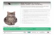 Top 12 tips to make your clinic cat-healthy · Top 12 tips to make your clinic cat-healthy 1. When booking your cat-healthy appointment, explain how to select the best cat carrier,