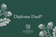 Diploma Dual - Donuts · 2020-04-02 · Dual Diploma With the goal of accompanying students in their development and preparation inside and outside the United States, in 2001, Academica