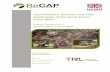 Consolidation, Revision and Pilot Application of the Rural ...research4cap.org/...PR1-ReCAP-GEN2033D-190520.pdf · Consolidation, Revision and Pilot Application of the Rural Access