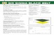 MISSOURI SOUTHERN STATE UNIVERSITY SIX SIGMA BLACK BELT · by Missouri Southern State University as Six Sigma Black Belts. Certification requirements include: • Successful completion