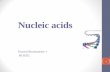 Nucleic acids - fac.ksu.edu.safac.ksu.edu.sa/sites/default/files/bch202-1440-_nucleic_acids.pdf · Nucleic acids 2 Nucleic acids are macromolecules, like proteins, carbohydrates and
