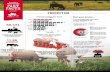 FACTS - Inspire | We put the best of Canada in our Beef · 2019-04-12 · FACTS June 2016 Canada’s Beef Industry PRODUCTION. Farms and Ranches with Beef Cattle 11.96 68,434 million