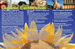 Organic Certification - Home | Colorado.gov · System Plan (OSP), the foundation of organic certification. The OSP is a detailed description of the practices and procedures used by