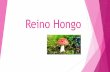 Reino Hongo · 2019-09-08 · los individuos del reino hongo ... Los Hongos, o Reino Fungi, son individuos a. Que realizan la fotosíntesis b. ... básicamente en la Materia y los